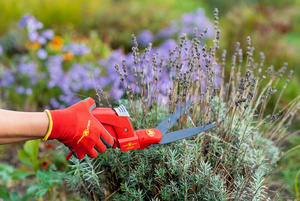 Gartenhandschuhe